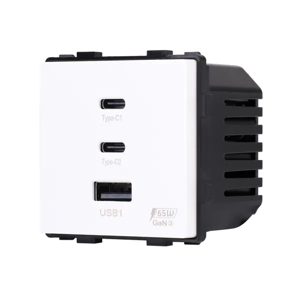 Modul USB nabíječky 65 W (USB-C Power Delivery) R-USB-A+C+C-65W-W